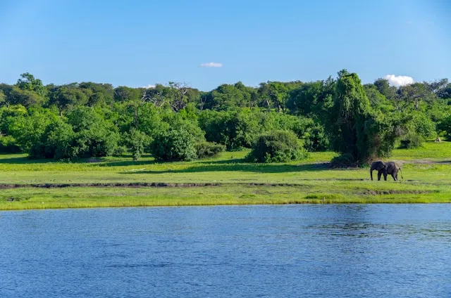 Chobe National Park