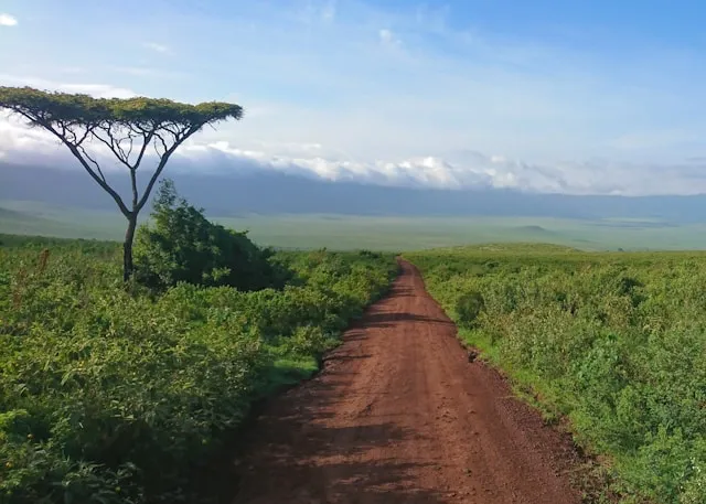 Ngorongoro Crater