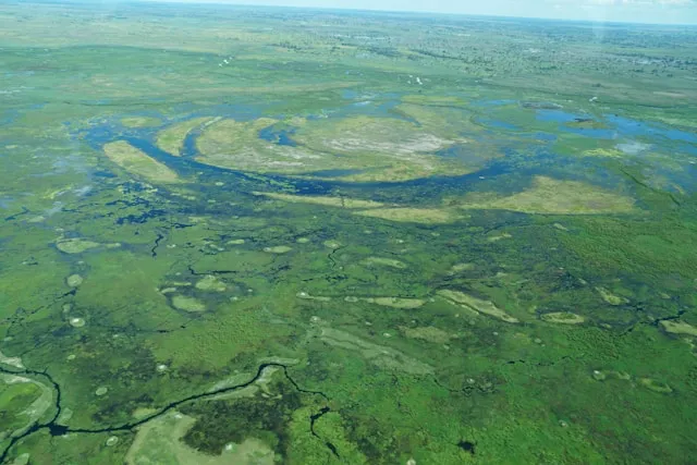 Okavango Delta